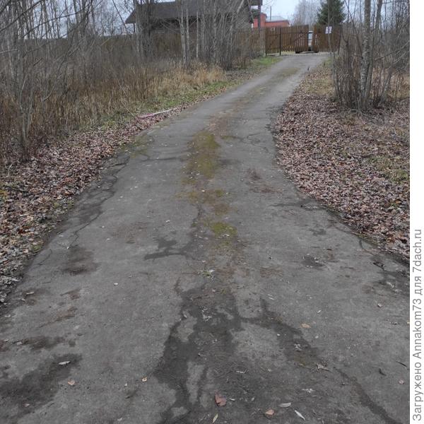 Я подметаю дорогу и чищу от листьев и мха