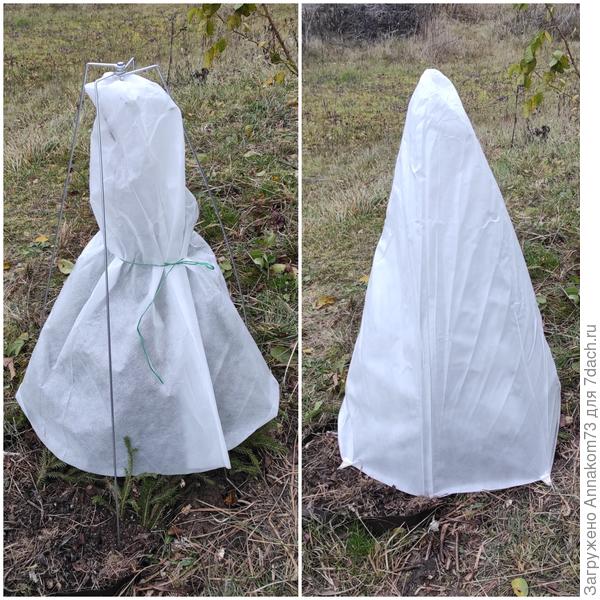 Укрытие "Зимний домик" для розы установлено