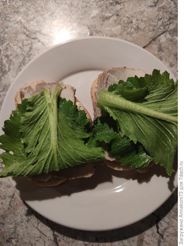 Пока Новый год не настал, едим бутики с салатом😄