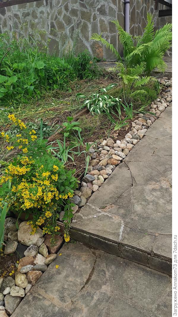 Вот мои масипусики