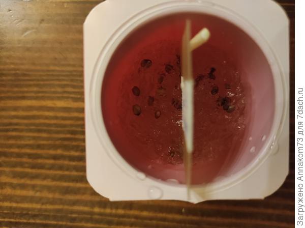 Посев 10 декабря аюв гидрогель