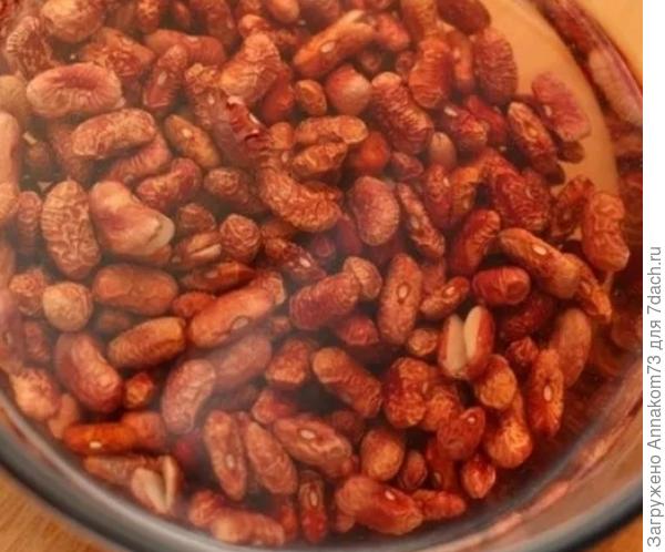 Вот как выглядит фасоль замоченная просто в воде.