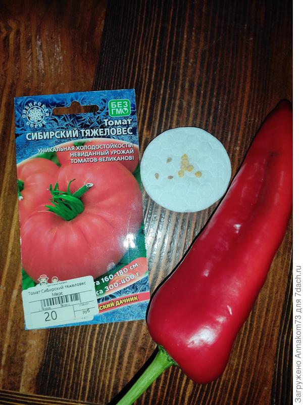 Перец и томат первая закладка на проращивание 14.02.2023