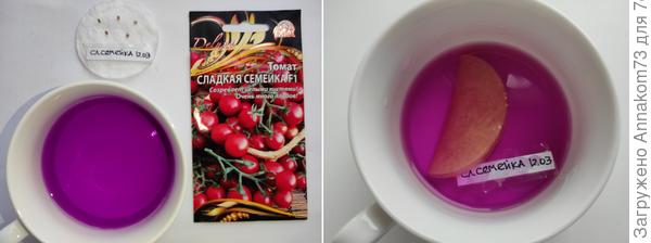 Пр