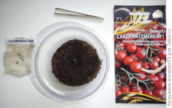 Посадка семечка