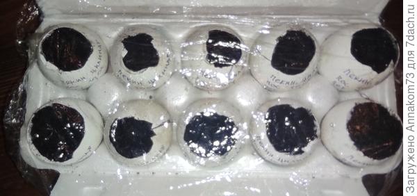 Ёмкости накрыты плёнкой.