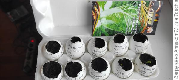 Вторая петелька 18.04.2023