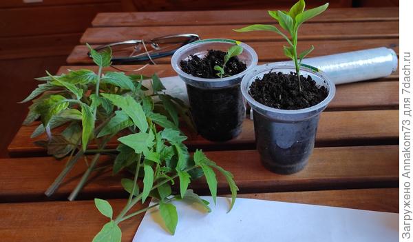 Контрольная группа