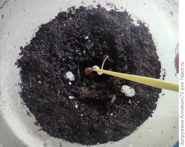 Вот момент посадки.