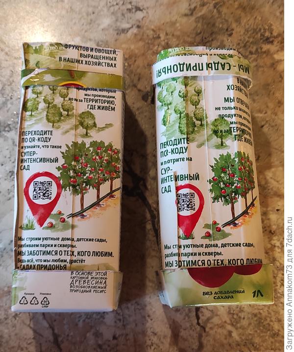 Два стаканчика для рассады