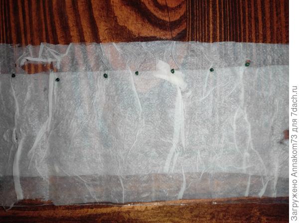 Раскладывание семян на улитке