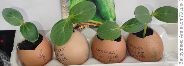 01.06.2023 первый лист