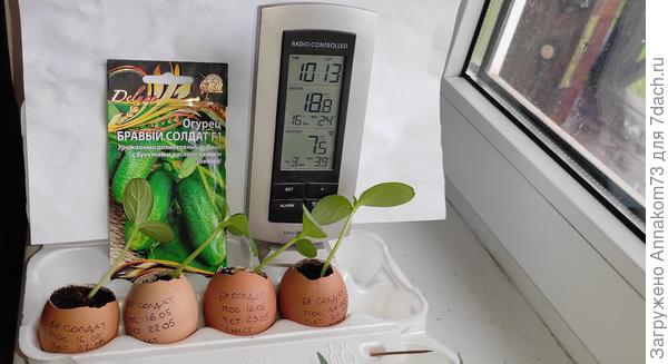 Температура воздуха на окне