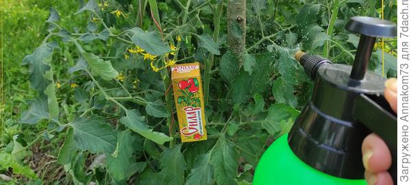 Обработка препаратом "Силар"