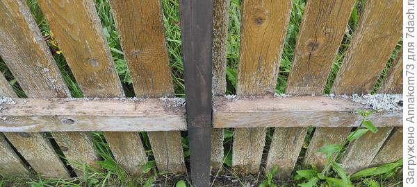 Участок забора через неделю после чистки и обработки