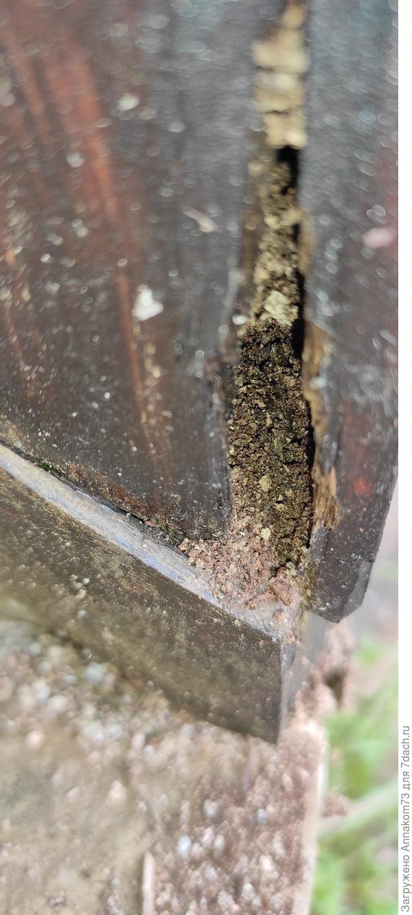 Труха от дерева