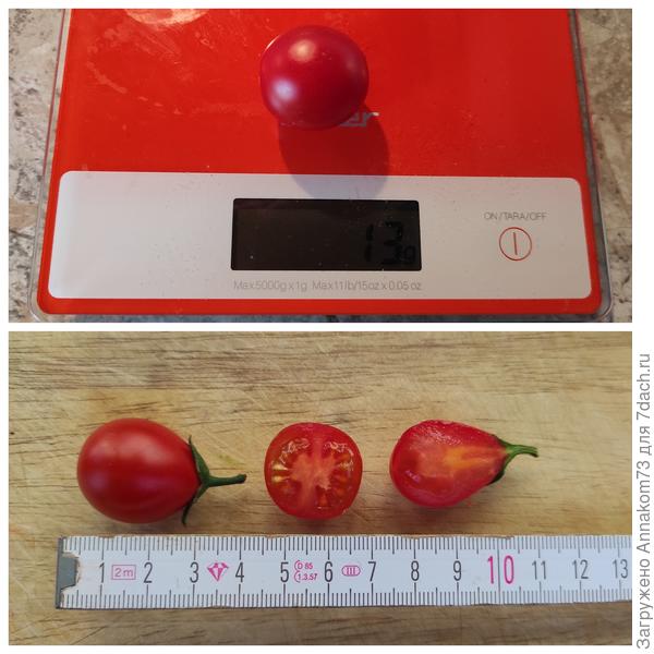 Большие томаты весом 13 грамм