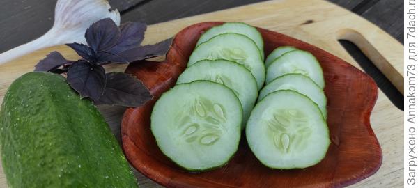 Огурец в продольном разрезе