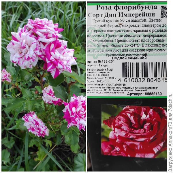 И тут цвет явно не соответствует