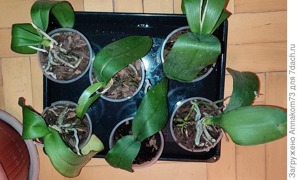 Сегодня, через сутки после реанимации