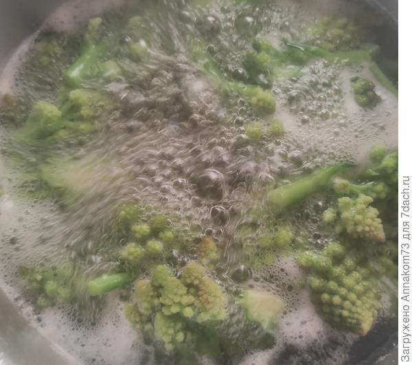 В процессе варки цвет не меняет