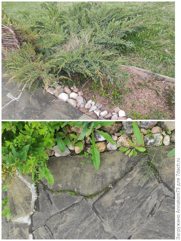 Май вверху, август внизу.