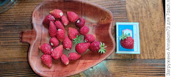 Это то что получилось. Внешнее похоже на упаковку