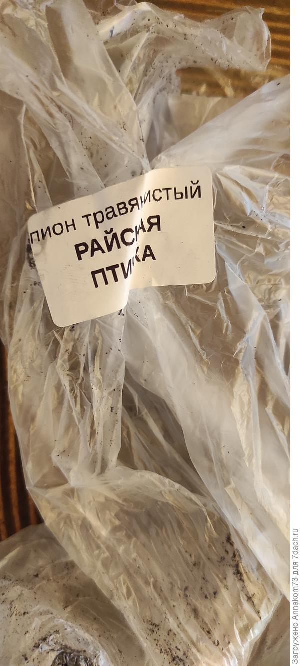 Пакет с сортом