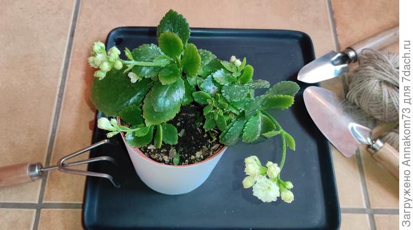 После водных процедур