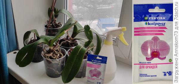 Подкормка орхидеи