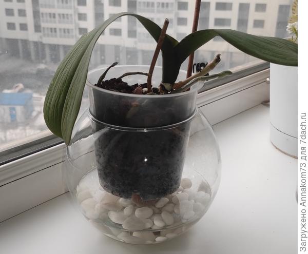 На водяной бане