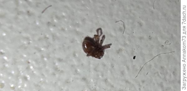 Ещё перевернула как смогла