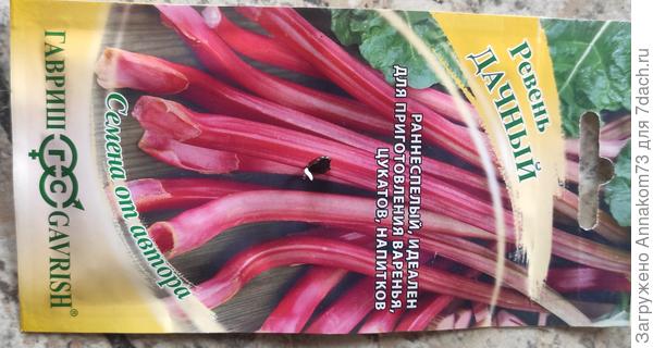 Одна проклюнулась