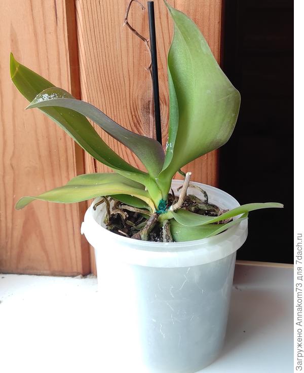 После операции