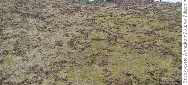 Укреп район