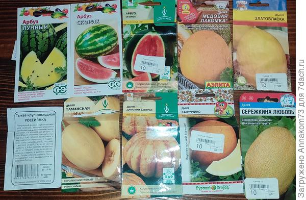 Арбузы и дыни