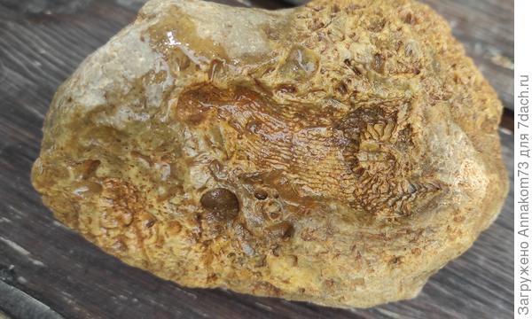 А вот тут вариантов у меня нет