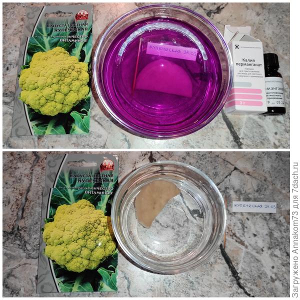 Обезараживание семян