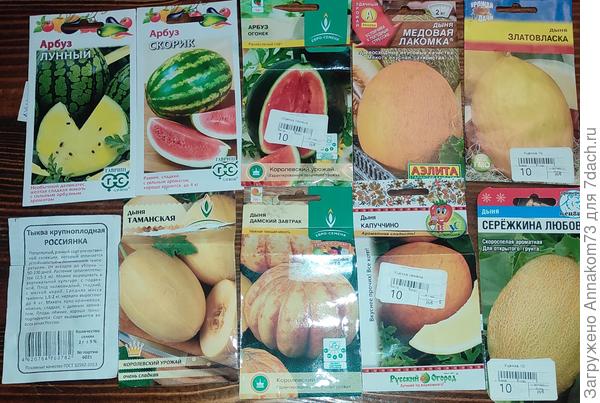 Вот что сажала