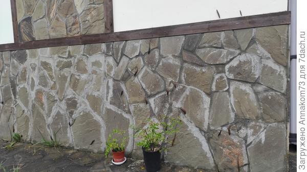 Вышла утром и чуть в обморок не упала