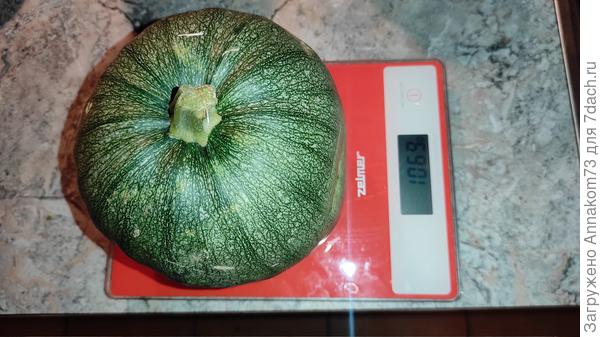 Мой Тинторетто