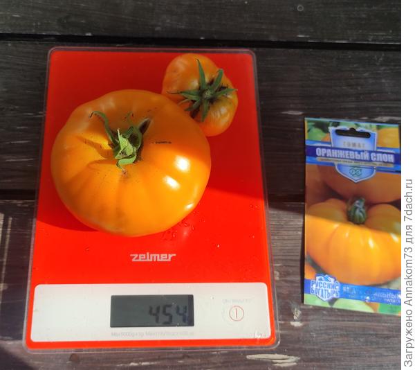 Оранжевый слон