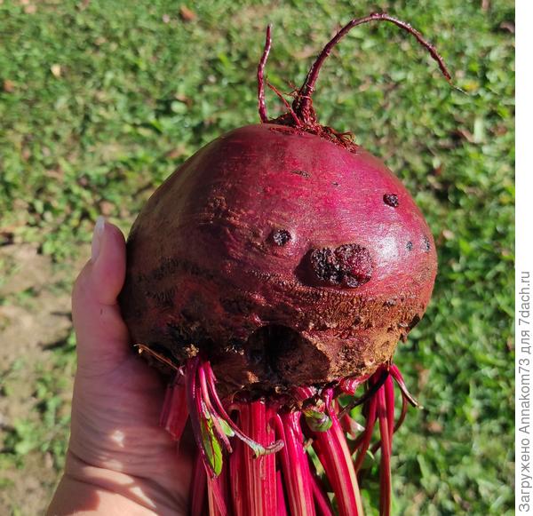 Вот это размерчик