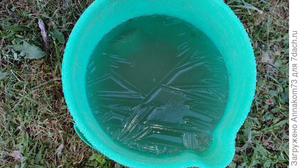 Вода в ведре затянулась ледяной коркой