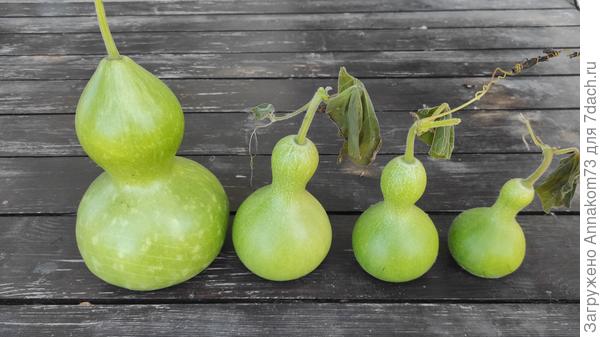 Тут без одной самой маленькой.