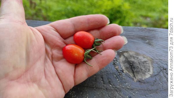 Вот и всё, зато сладкое)))