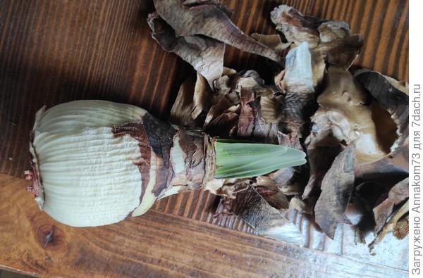 Перед посадкой