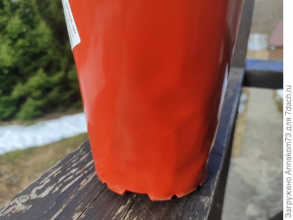 А волны на горшке это корни. Весь горшок волнистый.