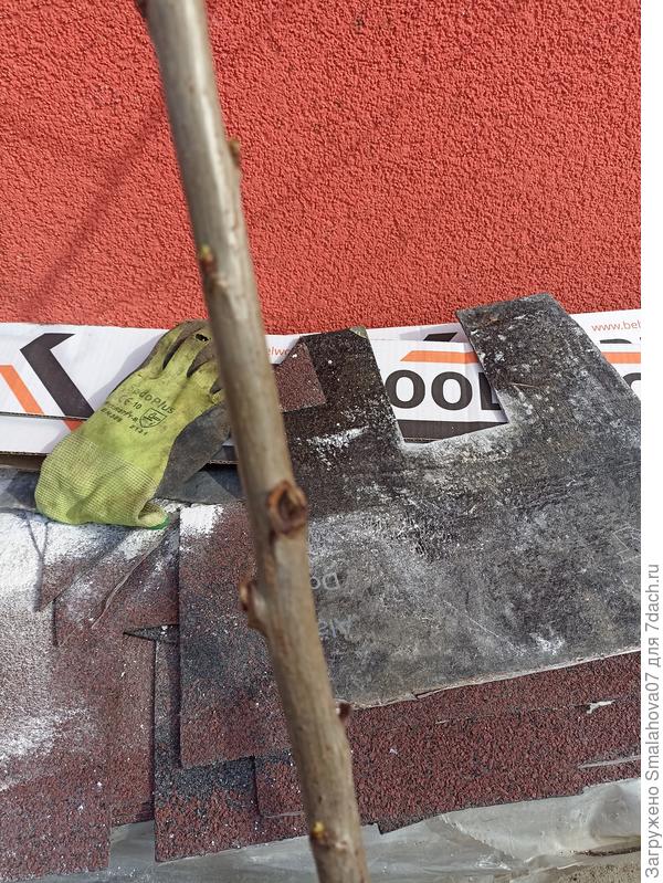 Обрезанные веточки на черешне