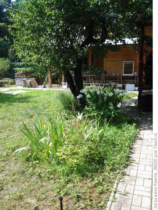 дорожка от калитки к дому 2